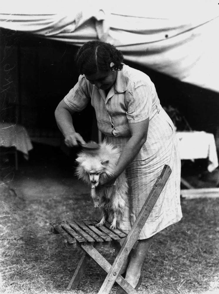 Nomes de Craques Brasileiros para Seu Cão ou Gato