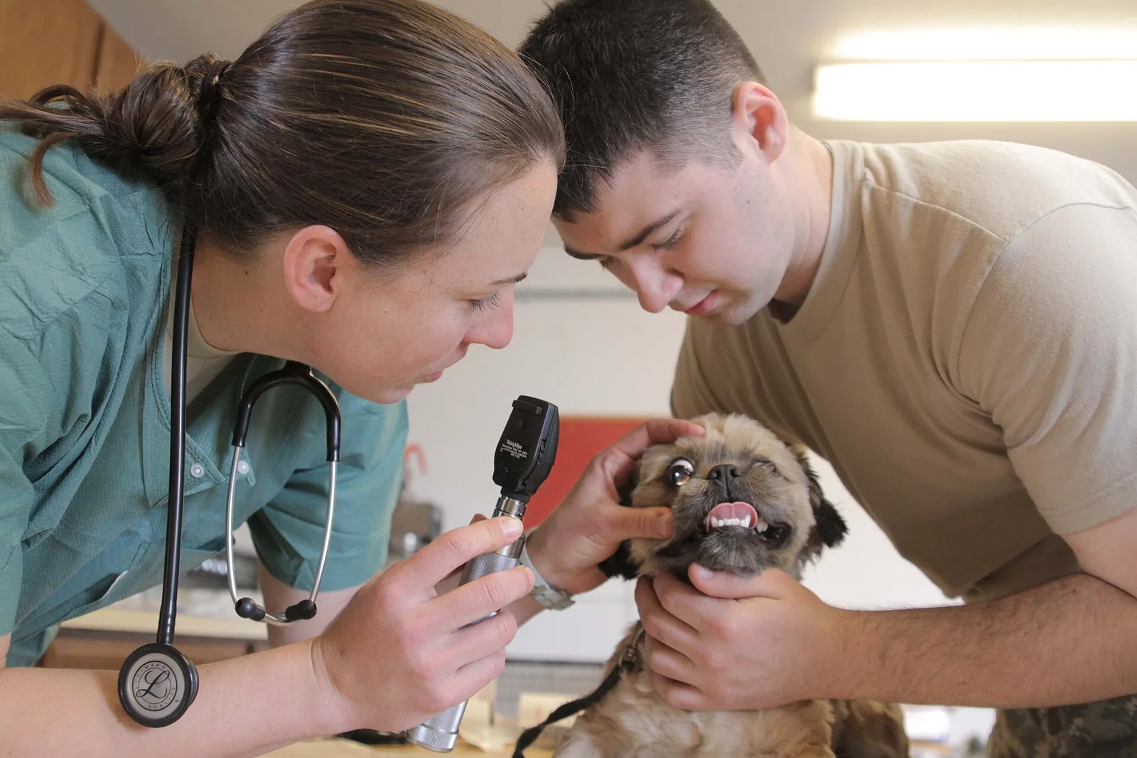 Cuidados com Pets na Época de Chuvas: Guia Prático para Tutores